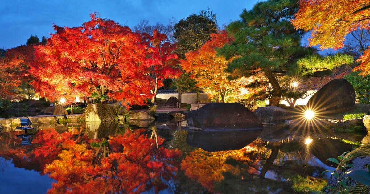 【姫路城】日本庭園 好古園で紅葉ライトアップイベント「紅葉会」が11月15日からスタート