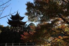 【鹿児島県いちき串木野市】紅葉を巡る観光周遊バスの魅力、隠れた名品のふるさと納税返礼品とは?