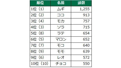 【犬の名前ランキング2024】「ムギ」が4連覇! 話題の「デコピン」は何位? - 0歳犬13万6181頭を調査