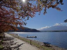 自然と人が調和した山梨県富士河口湖町で暮らす魅力、移住者が手掛けるふるさと納税返礼品とは?