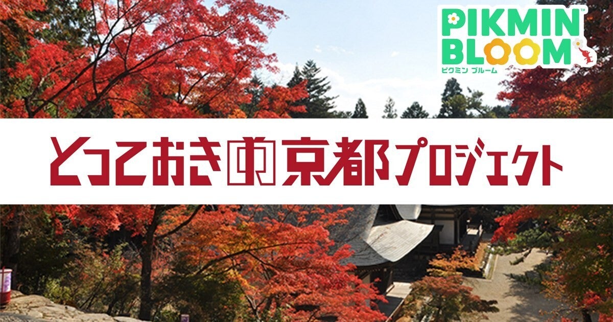 京都で『ピクミンブルーム』のミニイベント「ポストカードウォーク」開催