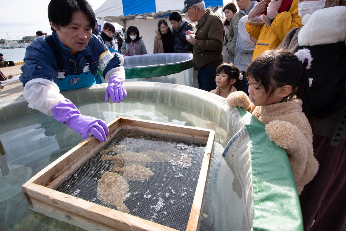 【茨城県鹿嶋市】観光しながら学べる栽培漁業施設、FM生放送の体験型ふるさと納税返礼品とは?