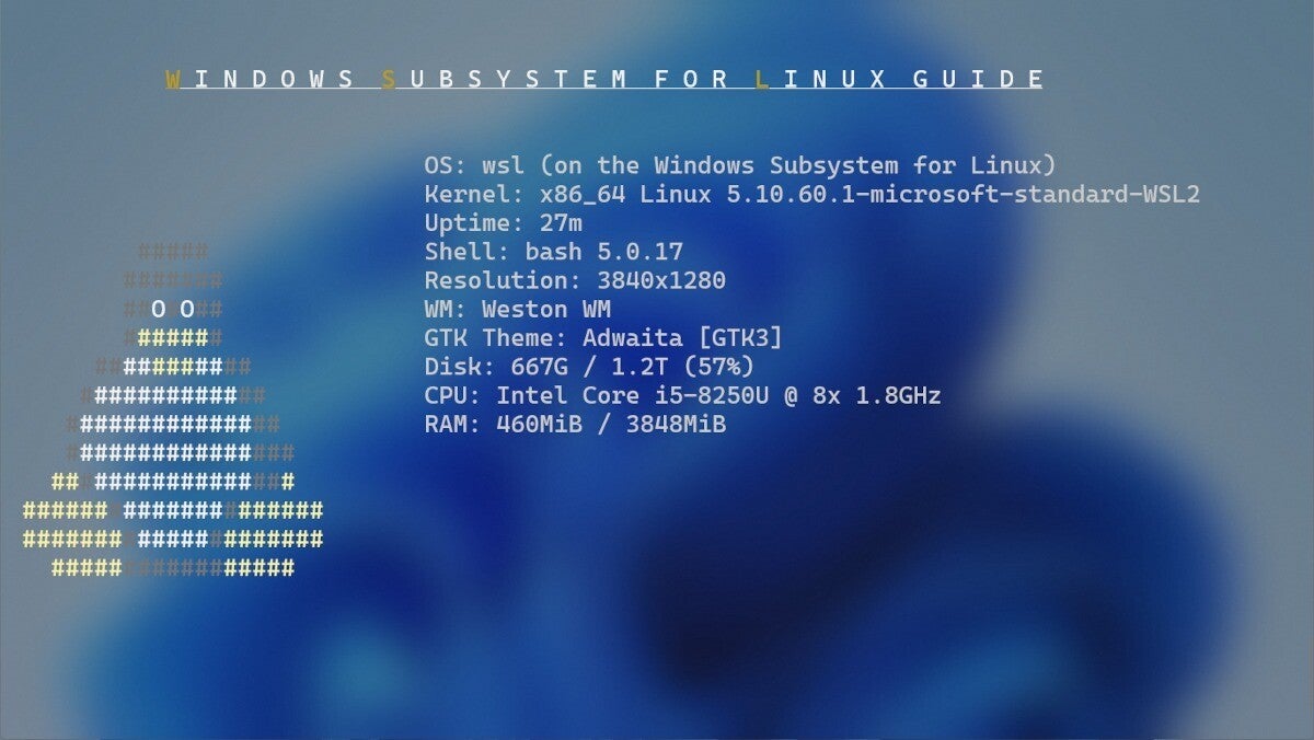 Windows Subsystem for Linuxガイド 第41回 WSL GUI設定