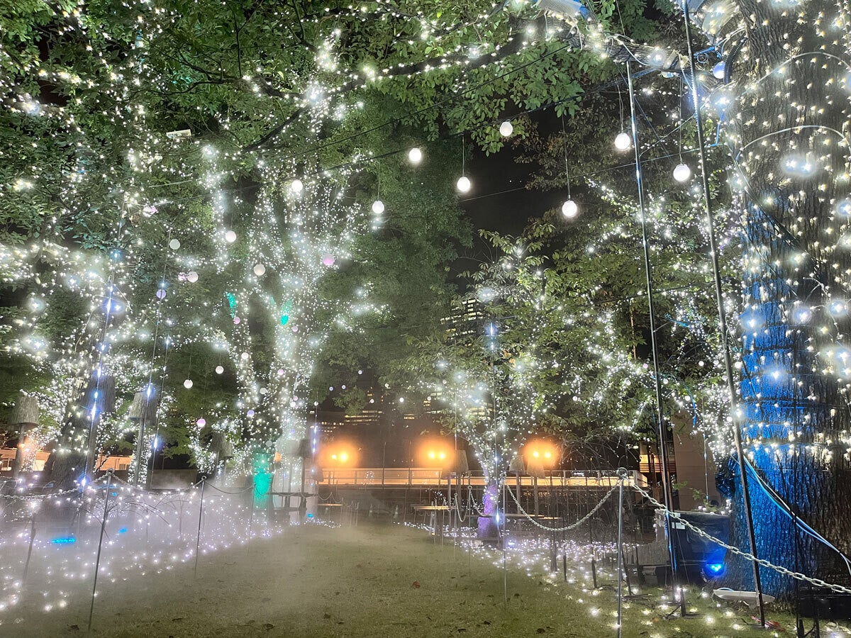 【うっとり】光としゃぼん玉がおりなすロマンチックな雪の世界! 東京ミッドタウンのクリスマス・イルミネーション