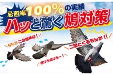 約3年以上効果が持続する、ハト用忌避剤がリニューアル発売