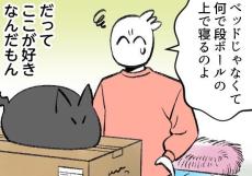 この家の主は僕 第59回 【漫画】「なんでベッドで寝ないの」飼い主の心、猫知らず