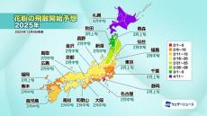 【2025年春の花粉飛散予想】2月からスギ花粉の飛散開始、西日本は過去10年で最多か - ウェザーニューズ発表