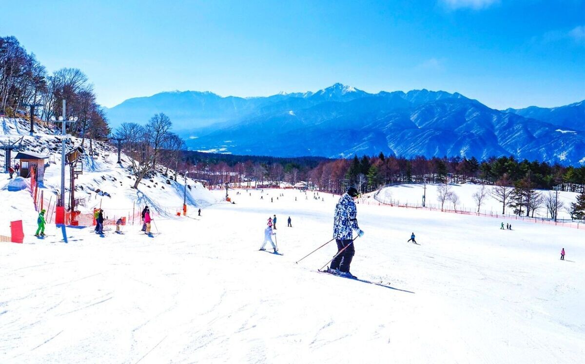 みんなで楽しめるユニバーサルなスキー場の魅力とは? 長野県富士見町のふるさと納税返礼品で利用補助券も