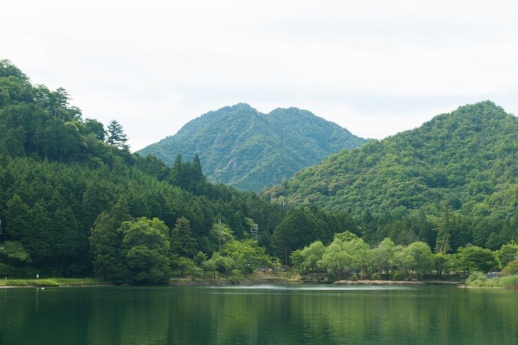 【兵庫県福崎町】美しい滝やキャンプを楽しめる「七種山」の魅力、隠れた名品のふるさと納税返礼品とは?