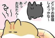 この家の主は僕 第61回 【漫画】「今日はお兄たんとお昼寝しちゃお!」妹猫の素敵なアイデアは…