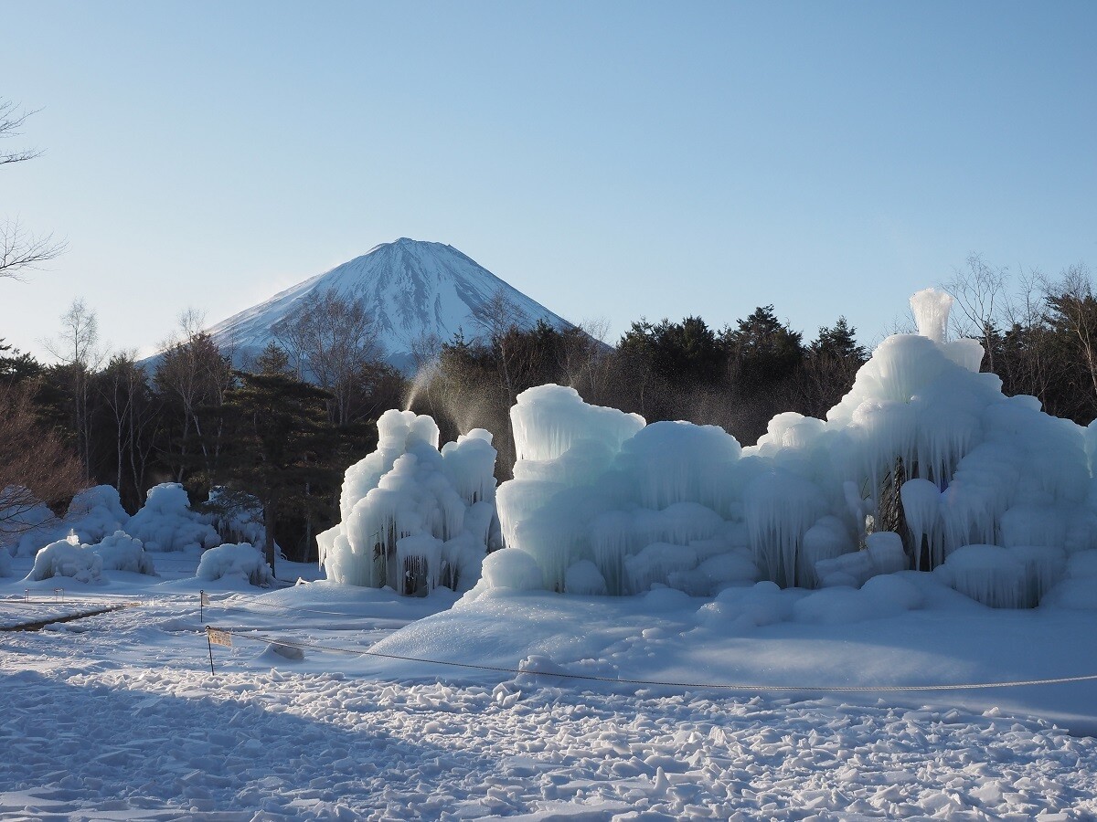 【山梨県富士河口湖町】高さ5メートル! 迫力満点の樹氷を楽しむ氷の芸術祭とは? ふるさと納税返礼品で宿泊も