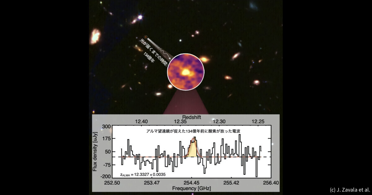 原始銀河は球状星団の先祖？ - アルマ望遠鏡とJWSTが134億光年彼方に新発見