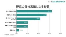 価格高騰を感じる"野菜"TOP3、「キャベツ」「レタス」あと1つは?