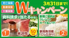 SBIいきいき少短 資料請求や保険成約で「米沢牛」や「こしひかり」が抽選で当たるキャンペーンを実施