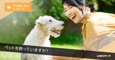 LINEリサーチ 「犬や猫を飼ってよかったこと」を調査「元気をもらえた」「心穏やかな時間が増えた」