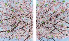 「ダミアン・ハースト　桜」展、国立新美術館（東京・六本木）にて開催