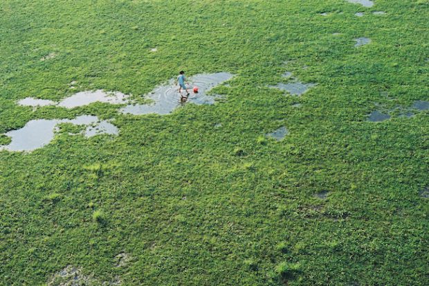 フォトグラファー 田上浩一、初となる写真展『草の花』をDAILY SUPPLY SSSで開催