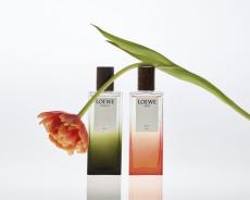 自然からインスパイアされた、強く新しい香り― LOEWE  Elixirs（ロエベ エリクシール）が誕生