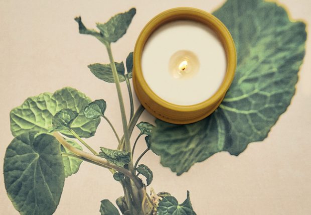 ロエベ】サイプレスボールワックスキャンドルホルダー ロエベ