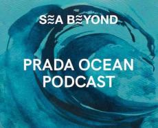 永野芽郁と魚類学者のさかなクンが海を守るために何ができるのかを考えていく「PRADA OCEAN PODCAST」