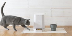 安心安全設計、北欧テイストな色合いが魅力の猫用水飲み器が新発売！