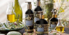 SABONの2016年春夏コレクションからOlive Oil Collectionが登場！