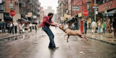 ニューヨークの写真家15人を追いかけたドキュメンタリー