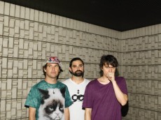 Animal Collective『Painting With』Interview