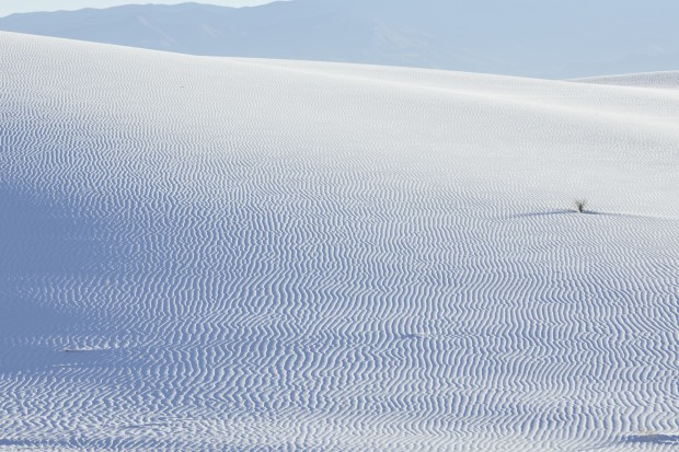 ニューメキシコの壮大な光景をミニマルな視点で捉える　写真展『Dune Portraiture』