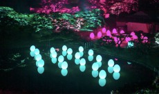 人々の存在に連動して変化する光のアート、「チームラボ 栗林公園 光の祭」開催中