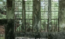 「変わる廃墟展 2020」、静寂の中に宿る美しさを切り取った廃墟写真が揃う