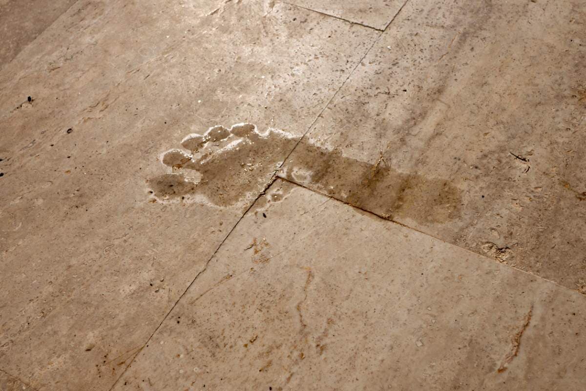 「ゾッとする」「不気味すぎ」 早朝、我が家に向かう「濡れた人間の足跡」を発見...その正体は？