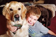 自閉症の少年と相棒の介助犬「トパーズ」の絆が灯す希望の光