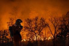 ウクライナ南部ヘルソン、「ロシア軍陣地」を襲った猛烈な「森林火災」の炎...逃げ惑う兵士たちの映像
