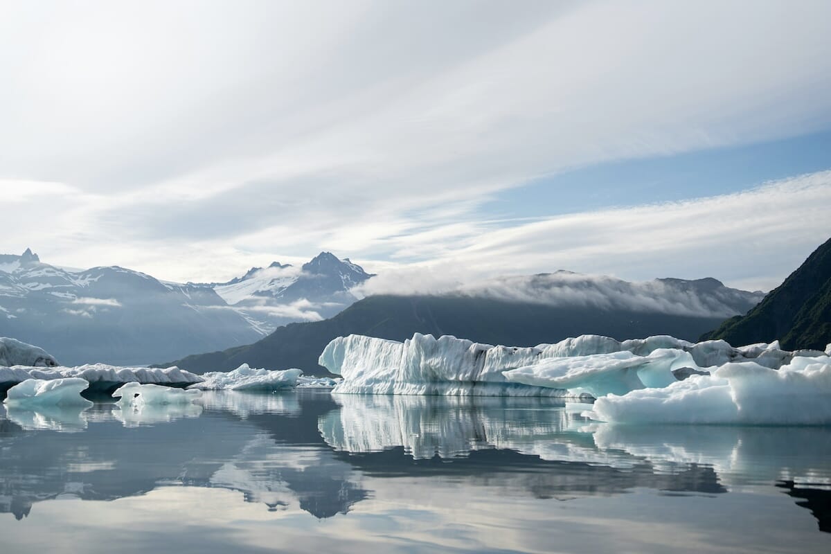 極地の光環境が育む生物多様性の秘密...フィンランド研究チームの新説