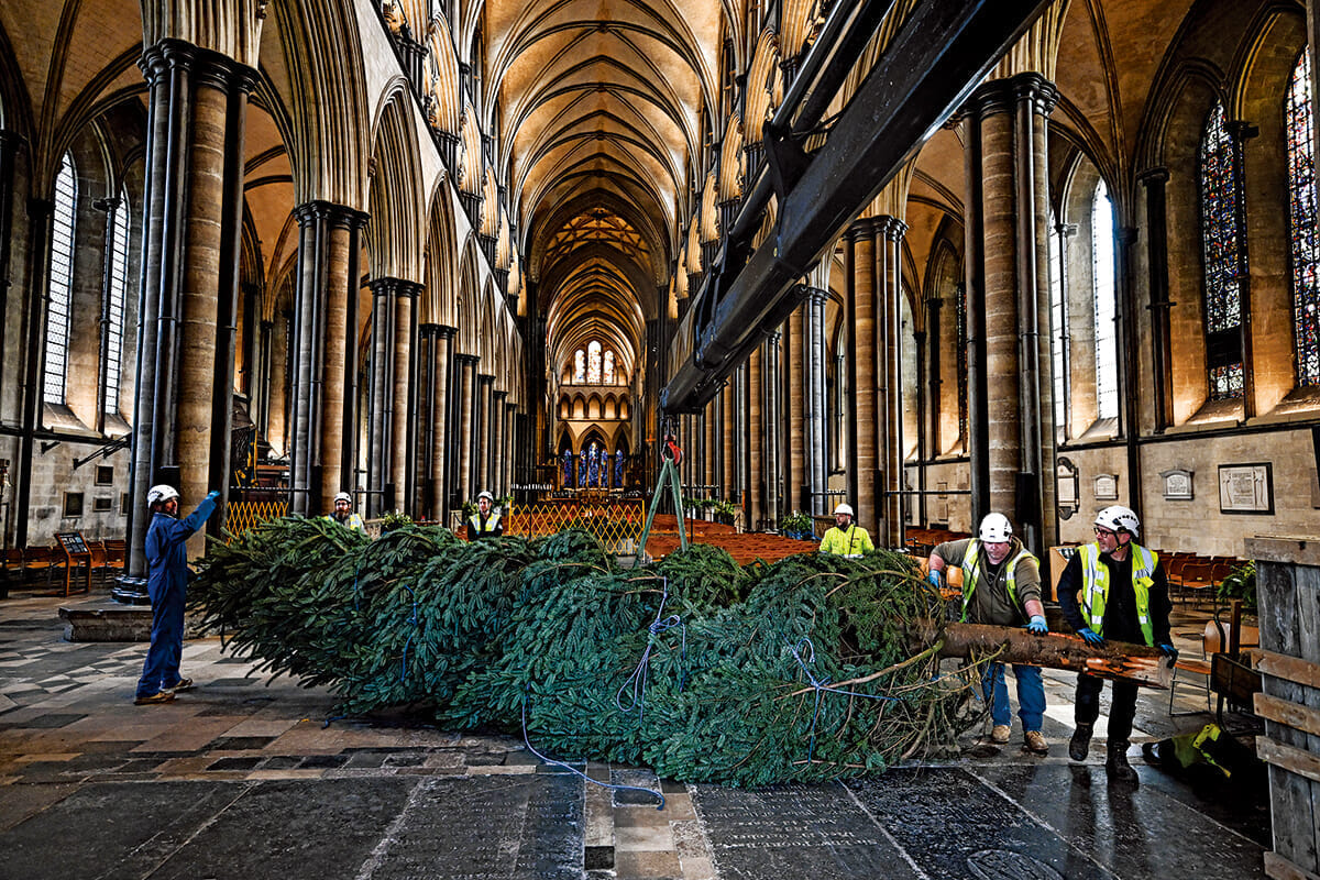 クリスマスも「エコに」祝う時代...イギリスの大聖堂に飾られるツリーの特徴は？