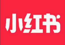 TikTokに代わりアメリカで１位に躍り出たアプリ「レッドノート（小紅書）」とは？