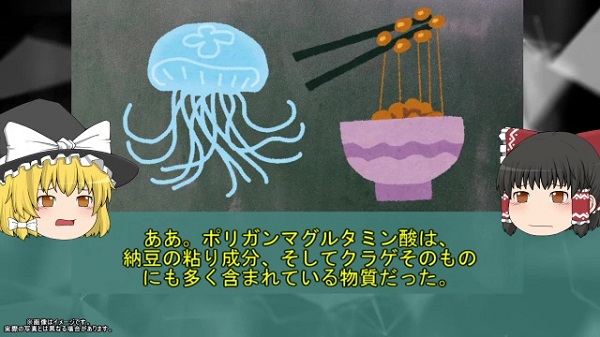 “納豆”を食べたサーファーたちが湿疹になった理由とは？「クラゲ」と「納豆」が引き起こしたアナフィラキシー事故を解説