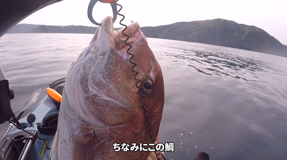 カヤックフィッシングで魚探の解説をしつつ、“70cm越え”の大物マダイを釣ってきた！