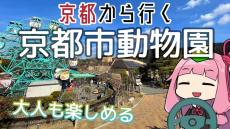 「京都市動物園」へ行ってきた！ レトロな遊園地に平安神宮や美術館など“1日楽しめる”スポットをご紹介