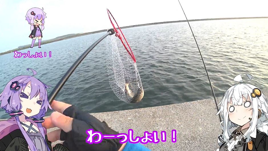 シーバス狙いで内湾の堤防へ！ 夏が旬の「スズキ」を釣って“洗い”にしてみた