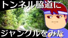 トンネルの脇道を走ってきた！ 自然と道がせめぎ合い「緑のトンネル」となった旧道の“歴史を感じる”情景がたまらない