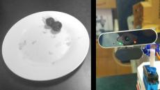 大皿の“最後の1個”を解決する装置を作ってみた！ WEBカメラで皿の状態を監視したロボが「お前食べろ！」と指名