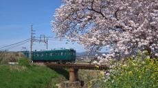 満開の桜と“橋を渡る電車”の取り合わせが最高に癒される！ 奈良の高田川へ桜を見に行ってきた