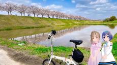 水面に映り込む「逆さ桜」が美しい！ 西日本最大級の長さを誇る兵庫県「おの桜づつみ回廊」へ行ってきた