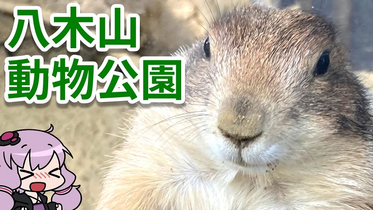 仙台の「八木山動物公園」に行ってきた！ 雑草を食べるトラや謎行動するダチョウなど、伸び伸びした姿を堪能