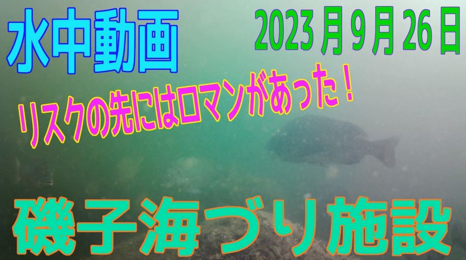 横浜「磯子海づり施設」で水中映像を撮って来た！ 根掛かりエリアに見えた濃い魚影で“釣りに行きたい気持ち“が高まってくる