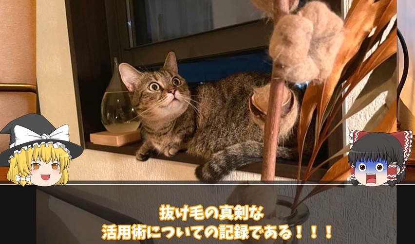 猫の“抜け毛”でインテリアグッズを作ってみた！ 愛猫色の「コットンフラワー」がお洒落で可愛い