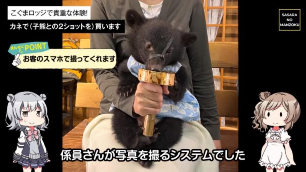 クマの赤ちゃんとの写真撮影で可愛さ満喫！ 岐阜県 奥飛騨クマ牧場で餌付け＆写真撮影レポート