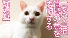 「遺憾の意」を表明する猫ちゃん！ 一家の主猫としてふるまう中で“人間くさい表情”を身に着ける